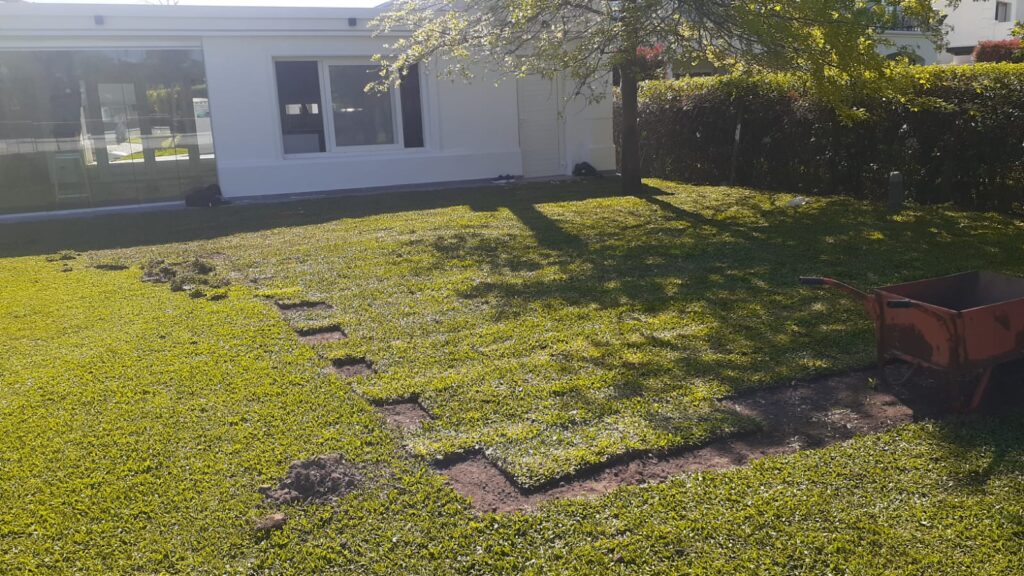 jardinería